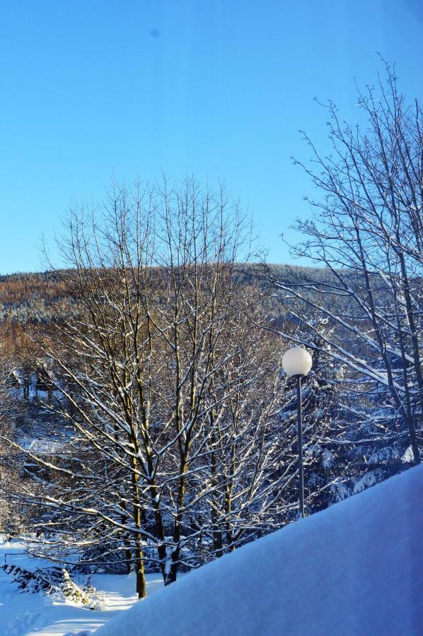 Apartament Izerski Klimat Świeradów-Zdrój Buitenkant foto