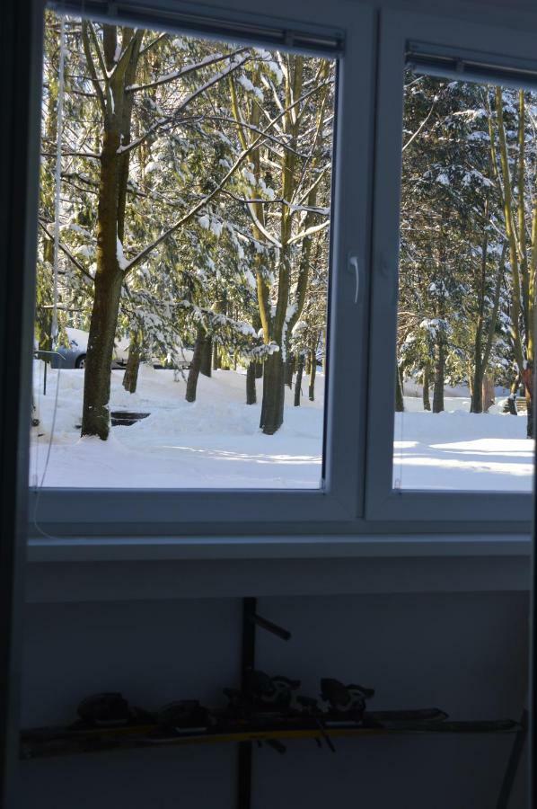 Apartament Izerski Klimat Świeradów-Zdrój Buitenkant foto